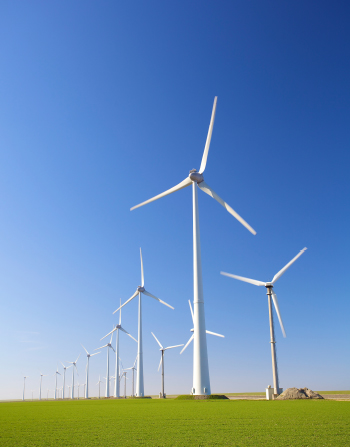 Industriekohlebürsten vom Hersteller